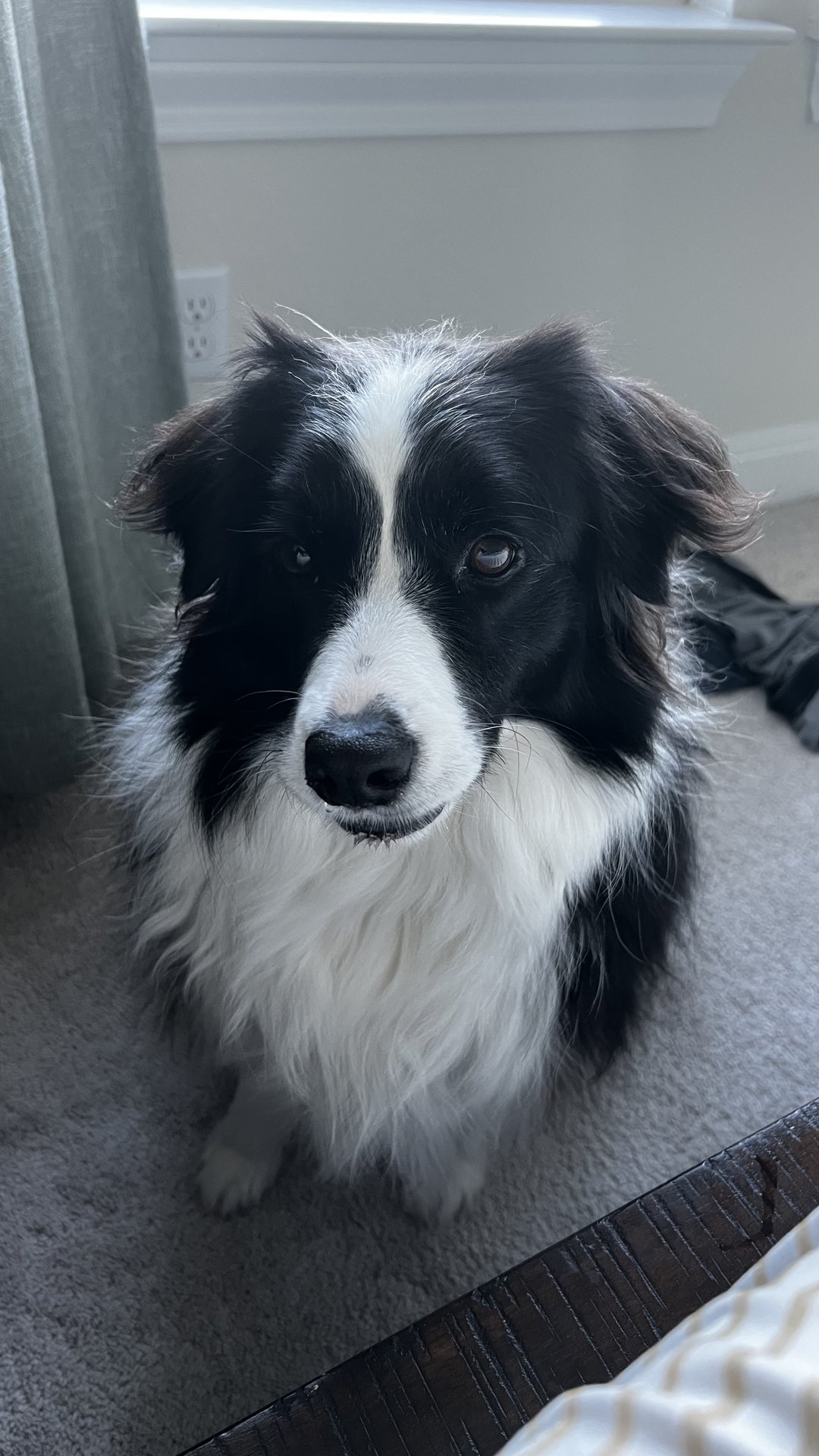 Lexie